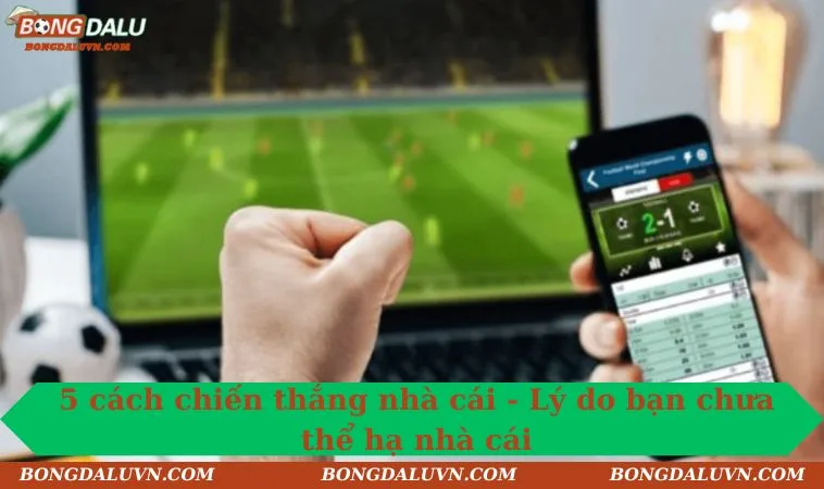 5 cach chien thang nha cai ly do ban chua the ha nha cai 5 cách chiến thắng nhà cái - Lý do bạn chưa thể hạ nhà cái