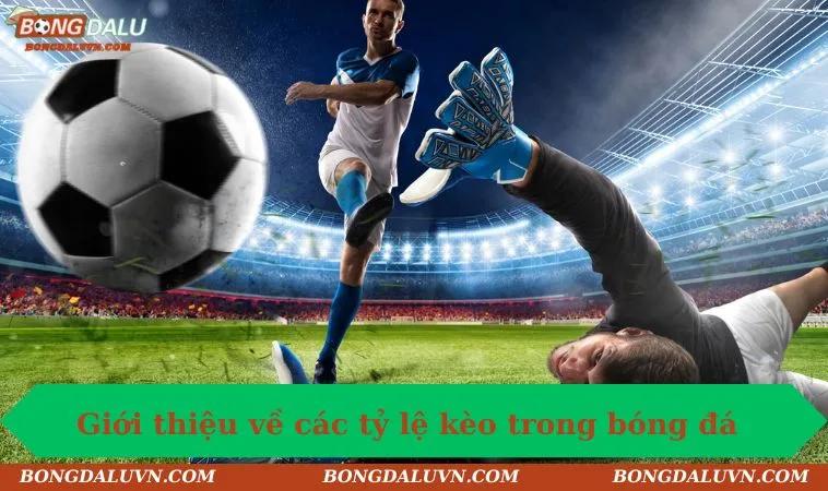 Giới thiệu về các tỷ lệ kèo trong bóng đá