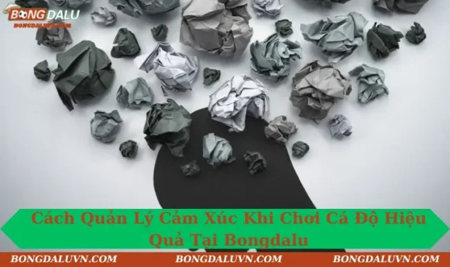 Cách quản lý cảm xúc khi chơi cá độ