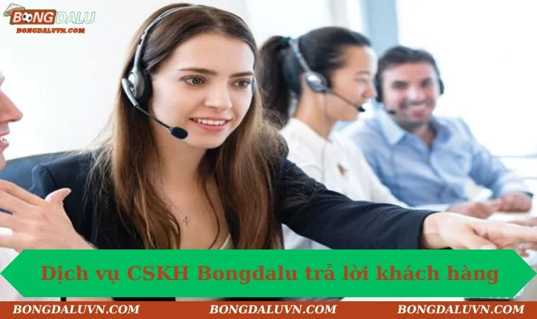 dich vu cskh bongdalu tra loi khach hang nhanh chong Dịch vụ CSKH Bongdalu trả lời khách hàng nhanh chóng