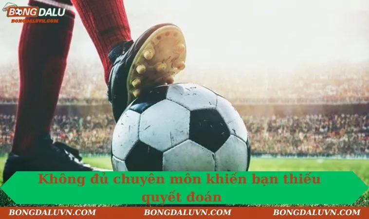 khong du chuyen mon khien ban thieu quyet doan Không đủ chuyên môn khiến bạn thiếu quyết đoán