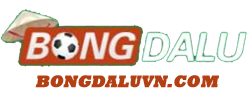 bongdaluvn.com