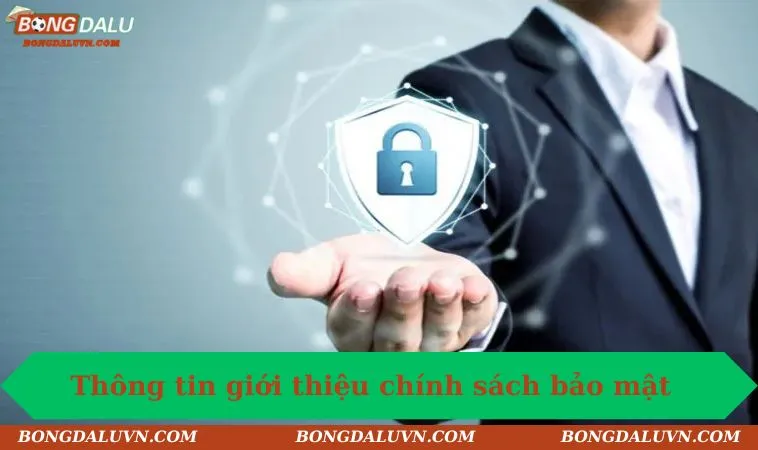 so luoc thong tin gioi thieu chinh sach bao mat bongdalu Sơ lược thông tin giới thiệu chính sách bảo mật Bongdalu
