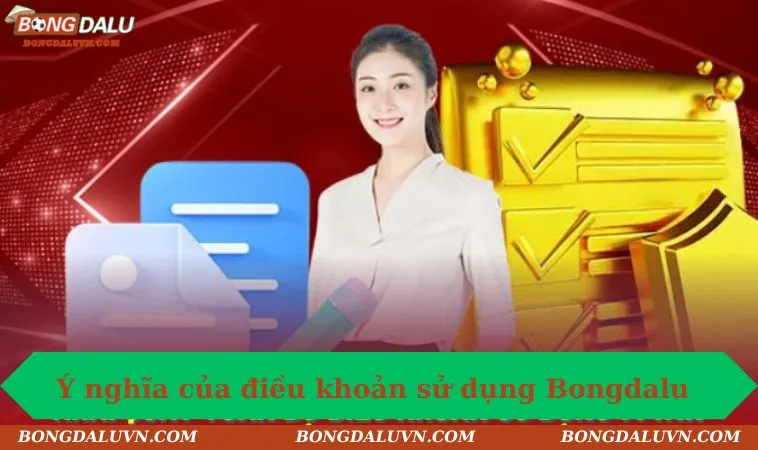 y nghia cua dieu khoan su dung bongdalu Ý nghĩa của điều khoản sử dụng Bongdalu