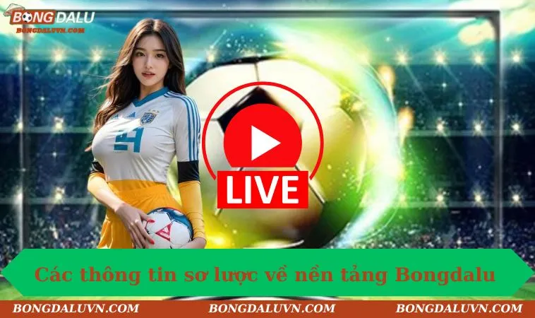 cac thong tin so luoc ve nen tang bongdalu Các thông tin sơ lược về nền tảng Bongdalu