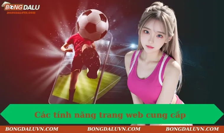 cac tinh nang trang web cung cap cho nguoi dung Các tính năng có sẵn tại trang cung cấp cho người dùng