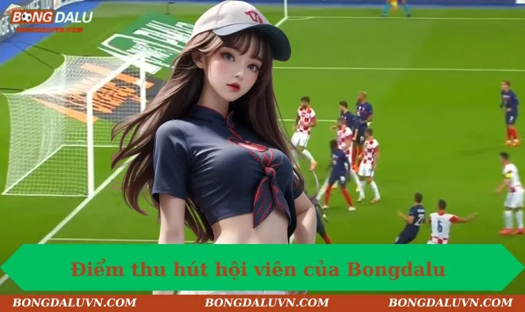 diem thu hut hoi vien cua bongdalu Điểm thu hút hội viên của Bongdalu