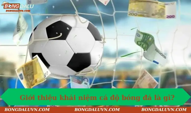 ca do bong da la gi gioi thieu khai niem Giới thiệu khái niệm cá độ bóng đá là gì?