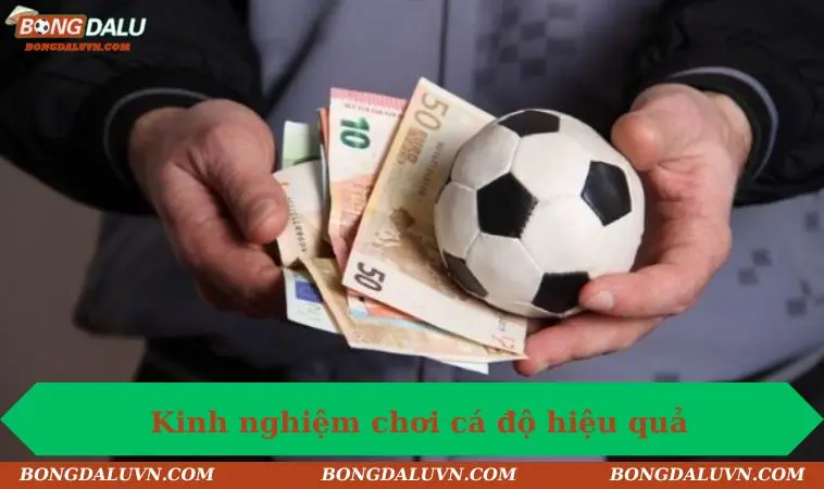 ca do bong da la gi kinh nghiem choi hieu qua Kinh nghiệm cá độ hiệu quả