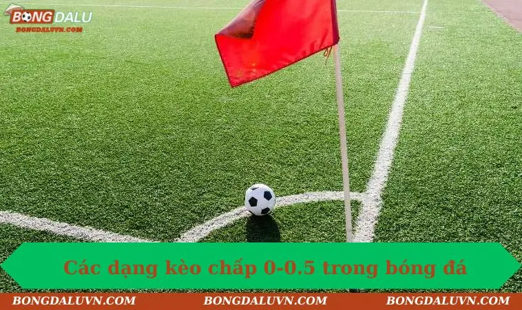 cac dang keo chap 0 0 5 trong bong da Các dạng kèo chấp 0-0.5 trong bóng đá