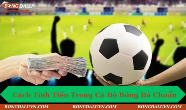 Cách Tính Tiền Trong Cá Độ Bóng Đá Chuẩn, Không Lo Thua Lỗ