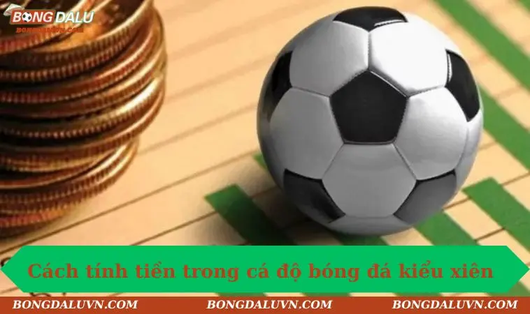 cach tinh tin trong ca do bong da kieu Cách tính tiền trong cá độ bóng đá kiểu cược xiên