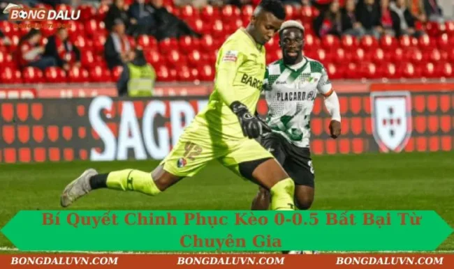 Chiến Thuật Vàng Đánh Bại Kèo 0-0.5 Từ Cao Thủ Kinh Nghiệm