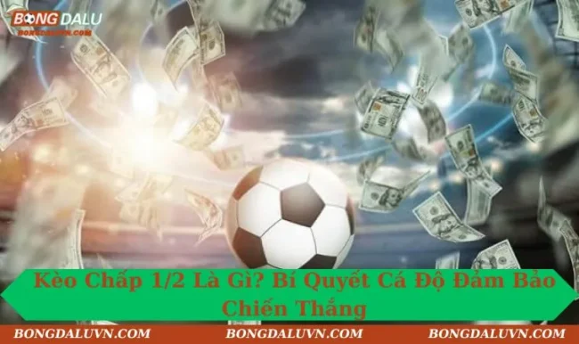 Kèo Chấp 1/2 Là Gì? Bí Quyết Cá Độ Đảm Bảo Chiến Thắng