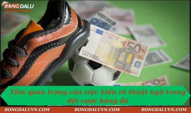 tam quan trong cua thuat ngu ca do bong da Tầm quan trọng của việc hiểu rõ thuật ngữ trong đặt cược bóng đá